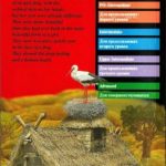 خرید و دانلود نسخه کامل کتاب The Marsh King’s Daughter