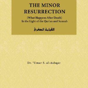 خرید و دانلود نسخه کامل کتاب The Minor Resurrection