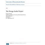 خرید و دانلود نسخه کامل کتاب The Nwagu Aneke Research Project Proposal