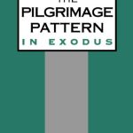 خرید و دانلود نسخه کامل کتاب The Pilgrimage Pattern in Exodus