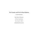 خرید و دانلود نسخه کامل کتاب The Promise and Peril of Real Options