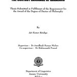 خرید و دانلود نسخه کامل کتاب The Structure of Nagamese: The Contact Language of Nagaland