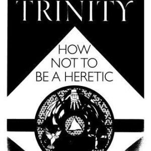 خرید و دانلود نسخه کامل کتاب The Trinity: How Not to Be a Heretic