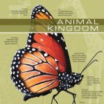خرید و دانلود نسخه کامل کتاب The Visual Dictionary of Animal Kingdom