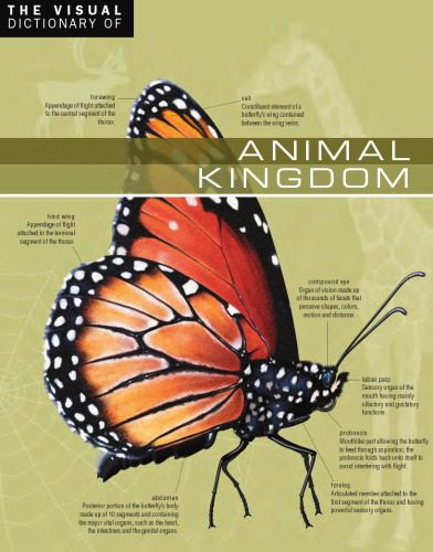 خرید و دانلود نسخه کامل کتاب The Visual Dictionary of Animal Kingdom_68bfb0874623f.jpeg خرید و دانلود نسخه کامل کتاب The Visual Dictionary of Animal Kingdom