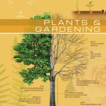 خرید و دانلود نسخه کامل کتاب The Visual Dictionary of Plants & Gardening