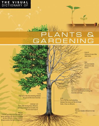 خرید و دانلود نسخه کامل کتاب The Visual Dictionary of Plants & Gardening_68c2224e91a26.jpeg خرید و دانلود نسخه کامل کتاب The Visual Dictionary of Plants & Gardening