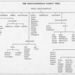 خرید و دانلود نسخه کامل کتاب The Welsh Language (University of Wales – Pocket Guide)