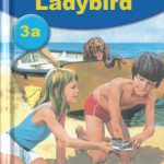 خرید و دانلود نسخه کامل کتاب Things We Like: Things We Like Bk. 3a