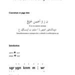 خرید و دانلود نسخه کامل کتاب Transcriptions des exercices de lecture et dʼécriture. Je me débrouille en ajami soninké. ن رَ وَ اَجَمِن خَرَنݝَ. سࣷونِنکَنخَنّٜن خَرَنعٜن دࣷ اَ سَفَندٜ تِ اَرَبِنسِݣِرُن ݝ