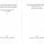 خرید و دانلود نسخه کامل کتاب Translating Buddhist Chinese: problems and prospects