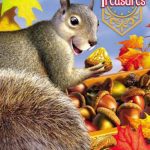 خرید و دانلود نسخه کامل کتاب Treasures. Grades 1 Vol.3