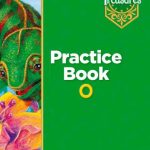 خرید و دانلود نسخه کامل کتاب Treasures (Language Arts, Grade 4) – Practice Book (O)