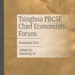 خرید و دانلود نسخه کامل کتاب Tsinghua PBCSF Chief Economists Forum: Turbulent 2022