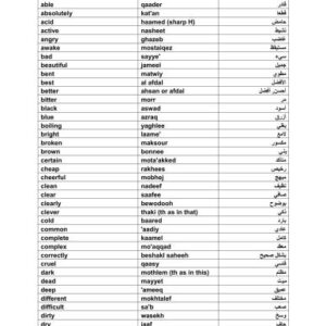 خرید و دانلود نسخه کامل کتاب Ultimate Arabic Dictionary
