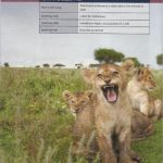 خرید و دانلود نسخه کامل کتاب Unlock: Level 1: Listening and Speaking Skills: (Video Unit 9)