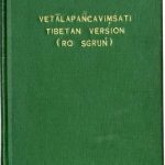 خرید و دانلود نسخه کامل کتاب Vetālapañcaviṃśati Tibetan version (Ro sgrung)