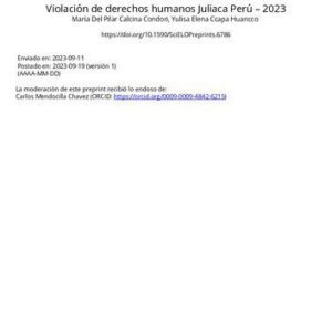 خرید و دانلود نسخه کامل کتاب Violación de derechos humanos Juliaca Perú – 2023