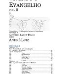 خرید و دانلود نسخه کامل کتاب Vivendo o Evangelho