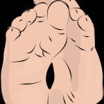 خرید و دانلود نسخه کامل کتاب Welcome 1 Flashcards. Irregular Plurals