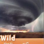 خرید و دانلود نسخه کامل کتاب Wild Weather