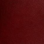 خرید و دانلود نسخه کامل کتاب Wright Joseph. The English dialect dictionary. Volume II. D – G