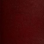 خرید و دانلود نسخه کامل کتاب Wright Joseph. The English dialect dictionary. Volume IV. M – Q