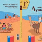 خرید و دانلود نسخه کامل کتاب Yatiqirin Qilqasiñapa Aymar Aru. Lengua Aymara/Texto de Estudio. 1º Básico