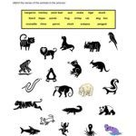 خرید و دانلود نسخه کامل کتاب Zoo Animals Activity