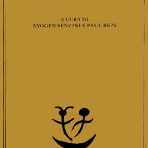 خرید و دانلود نسخه کامل کتاب 101 storie Zen