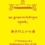 خرید و دانلود نسخه کامل کتاب 37 practices of a bodhisattva’s way of life
