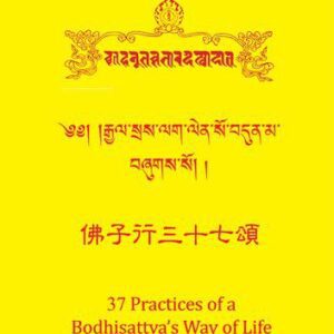 خرید و دانلود نسخه کامل کتاب 37 practices of a bodhisattva’s way of life