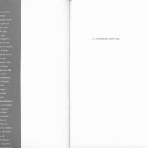 خرید و دانلود نسخه کامل کتاب A condição sensível: formas e maneiras de sentir no Ocidente