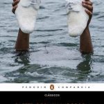 خرید و دانلود نسخه کامل کتاب A des-educação do negro