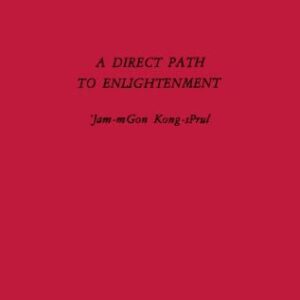 خرید و دانلود نسخه کامل کتاب A Direct Path to Enlightenment