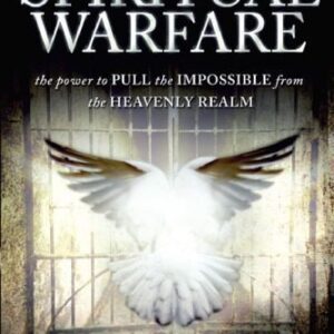 خرید و دانلود نسخه کامل کتاب A Field Guide to Spiritual Warfare