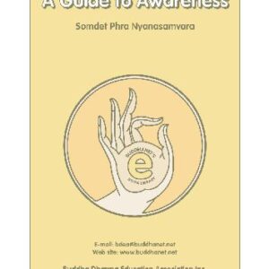 خرید و دانلود نسخه کامل کتاب A Guide to Awareness