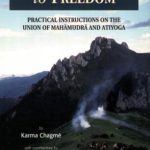 خرید و دانلود نسخه کامل کتاب A Spacious Path to Freedom: Practical Instructions on the Union of Mahamudra and Atiyoga