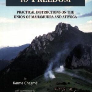 خرید و دانلود نسخه کامل کتاب A Spacious Path to Freedom: Practical Instructions on the Union of Mahamudra and Atiyoga