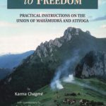 خرید و دانلود نسخه کامل کتاب A Spacious Path to Freedom: Practical Instructions on the Union of Mahamudra and Atiyoga