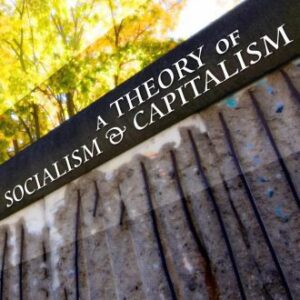 خرید و دانلود نسخه کامل کتاب A theory of socialism and capitalism : economics, politics, and ethics