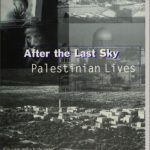 خرید و دانلود نسخه کامل کتاب After the Last Sky