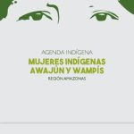 خرید و دانلود نسخه کامل کتاب Agenda indígena. Mujeres indígenas awajún y wampís: Región Amazonas
