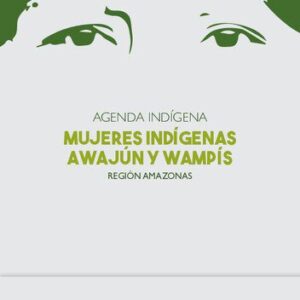 خرید و دانلود نسخه کامل کتاب Agenda indígena. Mujeres indígenas awajún y wampís: Región Amazonas
