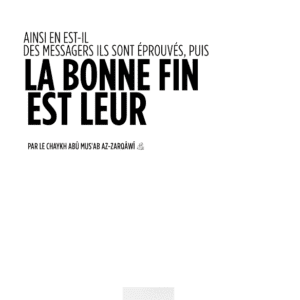 خرید و دانلود نسخه کامل کتاب Ainsi en est-il des messsagers ils sont éprouvés, puis la bonne fin est leur