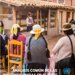 خرید و دانلود نسخه کامل کتاب Análisis común de las Naciones en el Perú : Actualización 2023