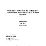 خرید و دانلود نسخه کامل کتاب Análisis de la eficiencia del gasto público: evidencia para municipalidades de la región del Cuzco. Informe Final