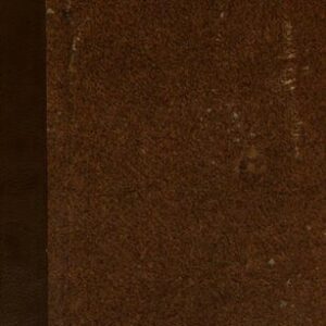 خرید و دانلود نسخه کامل کتاب Arcanes de la vie future dévoilés. Ou L’existence, la forme, les occupations de l’ame après sa séparation du corps