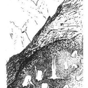 خرید و دانلود نسخه کامل کتاب Autophagiography