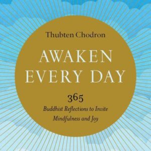 خرید و دانلود نسخه کامل کتاب Awaken Every Day: 365 Buddhist Reflections to Invite Mindfulness and Joy